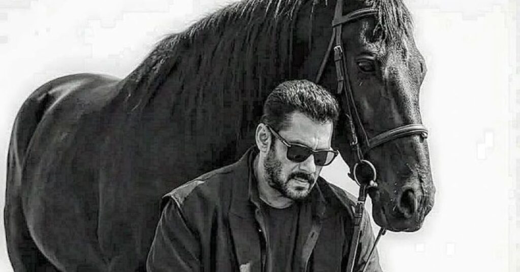 Salman Khan Net Worth 